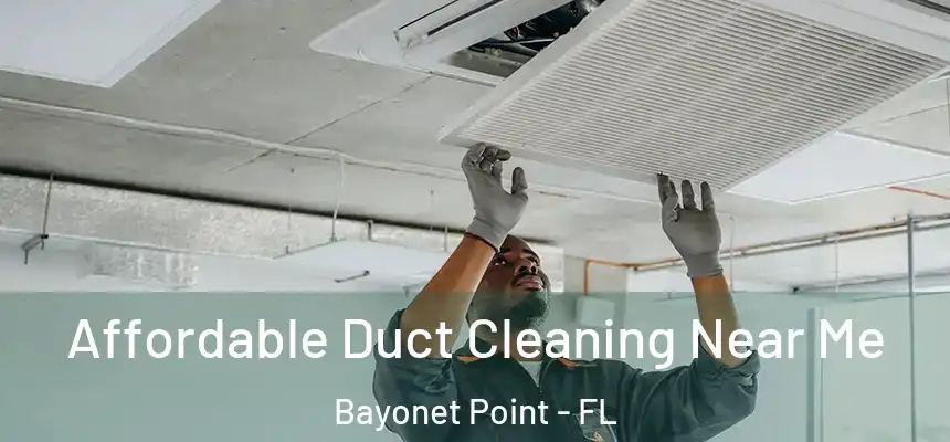 Affordable Duct Cleaning Near Me Bayonet Point - FL