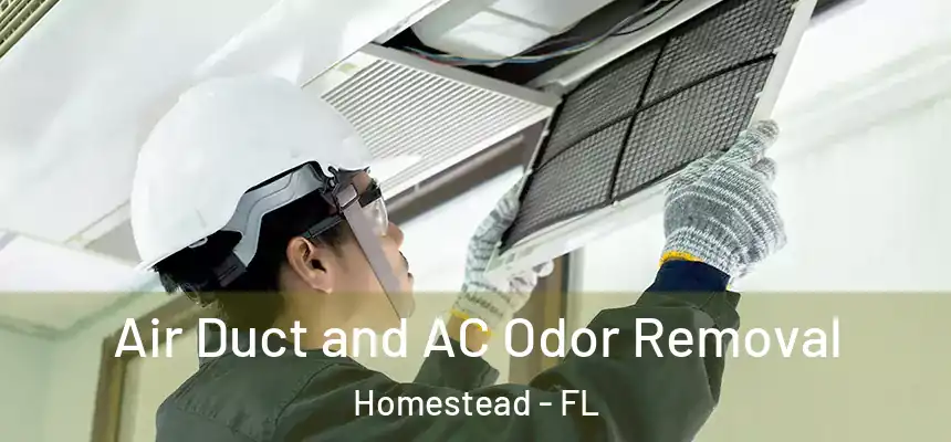 Air Duct and AC Odor Removal Homestead - FL