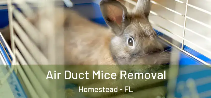 Air Duct Mice Removal Homestead - FL