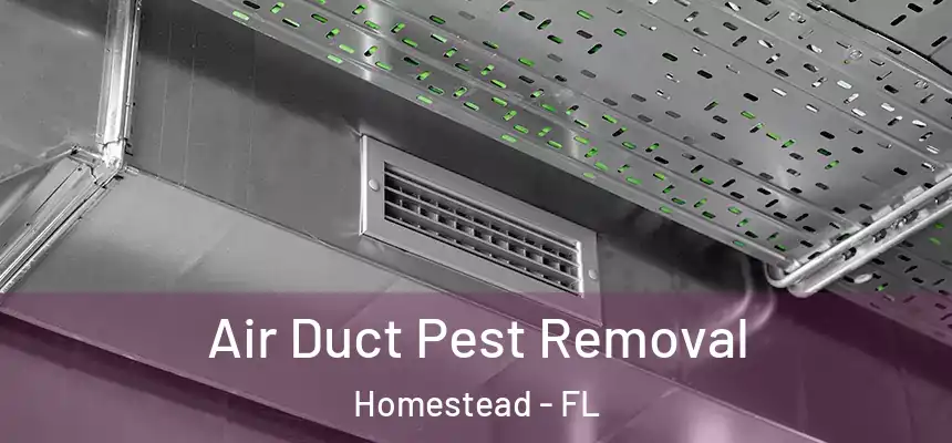 Air Duct Pest Removal Homestead - FL