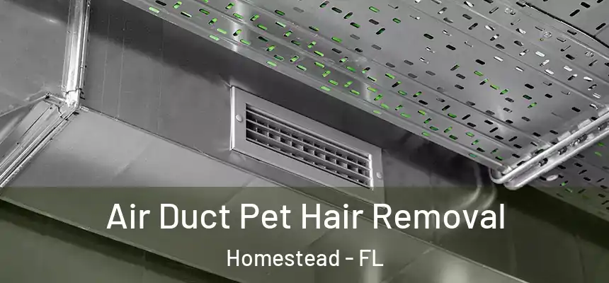 Air Duct Pet Hair Removal Homestead - FL