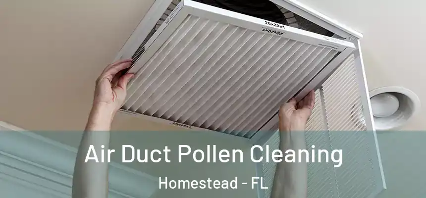  Air Duct Pollen Cleaning Homestead - FL