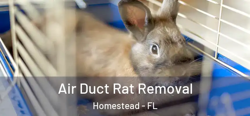  Air Duct Rat Removal Homestead - FL