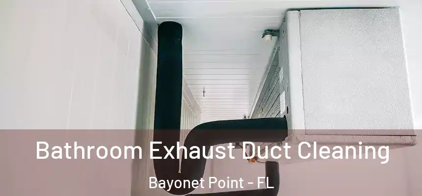 Bathroom Exhaust Duct Cleaning Bayonet Point - FL