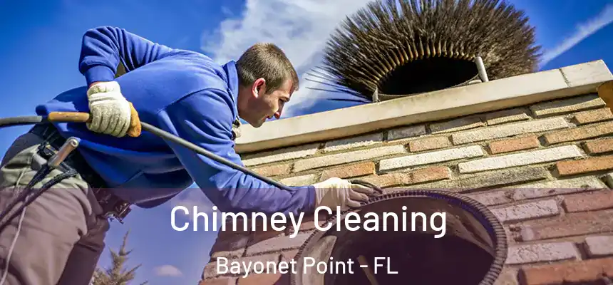 Chimney Cleaning Bayonet Point - FL