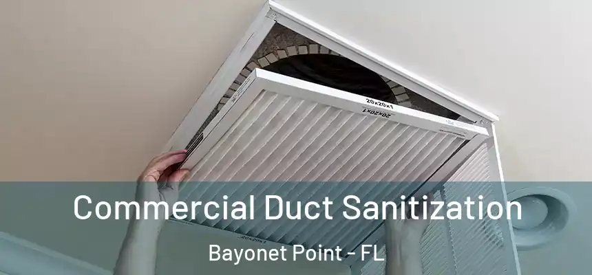 Commercial Duct Sanitization Bayonet Point - FL