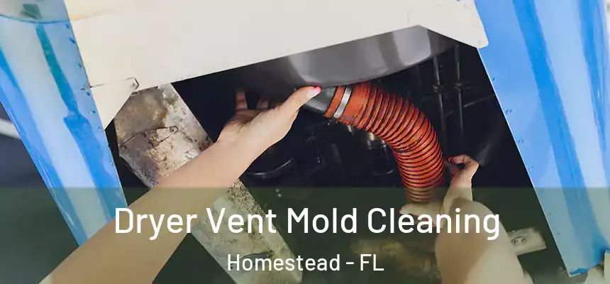 Dryer Vent Mold Cleaning Homestead - FL