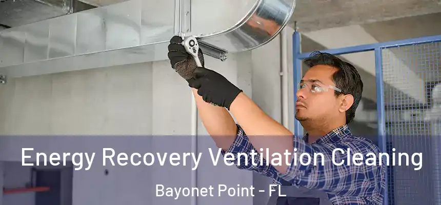 Energy Recovery Ventilation Cleaning Bayonet Point - FL