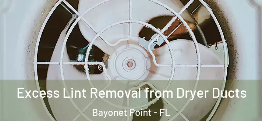 Excess Lint Removal from Dryer Ducts Bayonet Point - FL