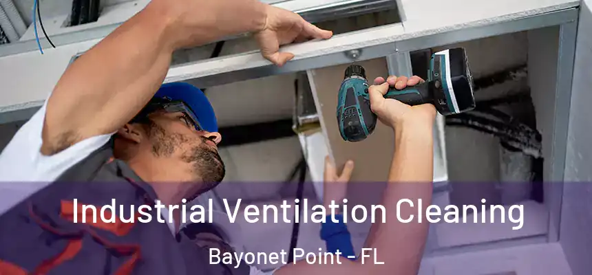 Industrial Ventilation Cleaning Bayonet Point - FL