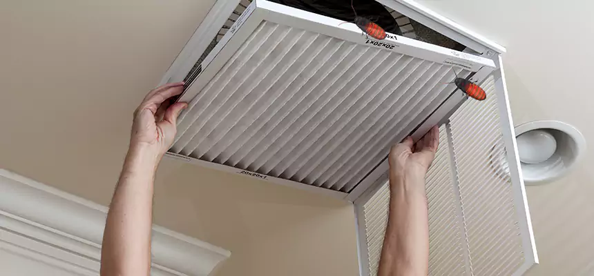 Preventive Cockroach-Proofing for Ducts in Homestead