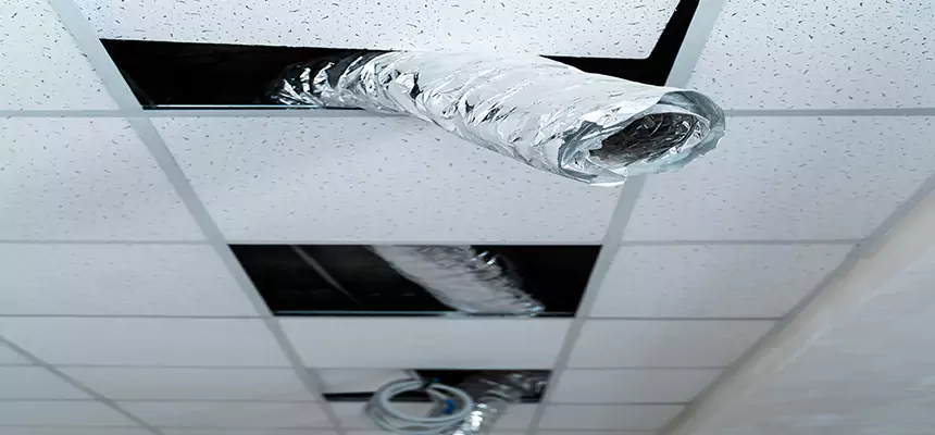 Affordable HVAC Sanitizing After Pest Removal in Homestead