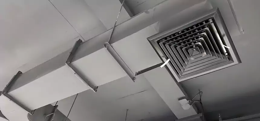 Restorative Allergy Relief Vent Cleaning – Coil, Blower & Housing Detail in Bayonet Point