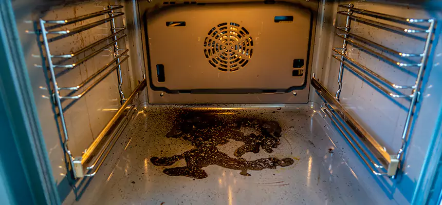 Our Dryer Vent Mold Cleaning Services in Homestead, FL