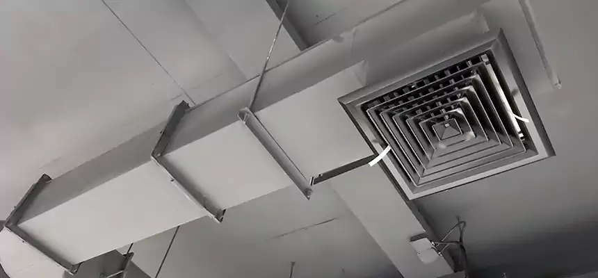 Our Pest Removal From Ducts Services in Homestead, FL