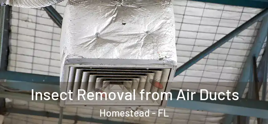 Insect Removal from Air Ducts Homestead - FL