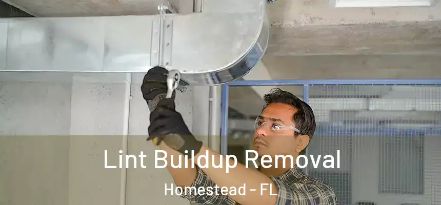 Lint Buildup Removal Homestead - FL