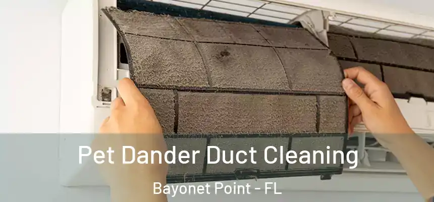 Pet Dander Duct Cleaning Bayonet Point - FL