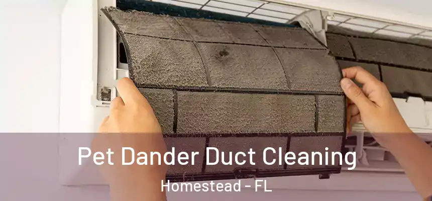  Pet Dander Duct Cleaning Homestead - FL