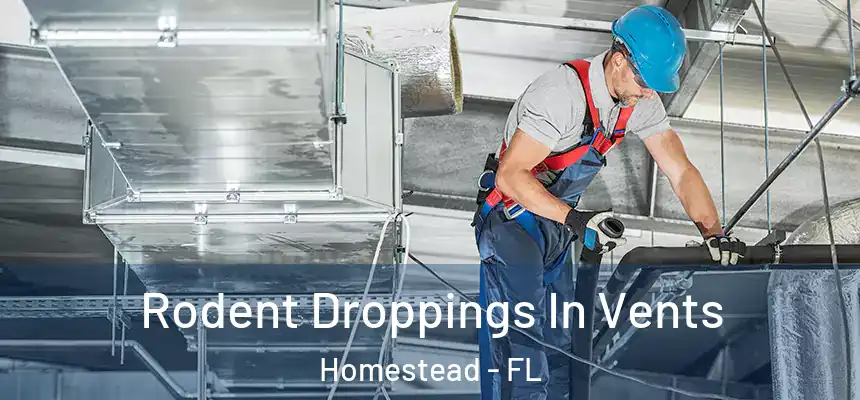 Rodent Droppings In Vents Homestead - FL
