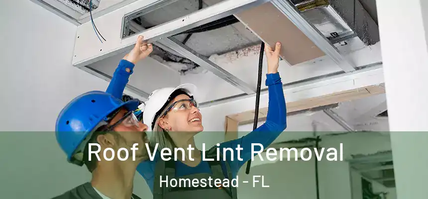 Roof Vent Lint Removal Homestead - FL
