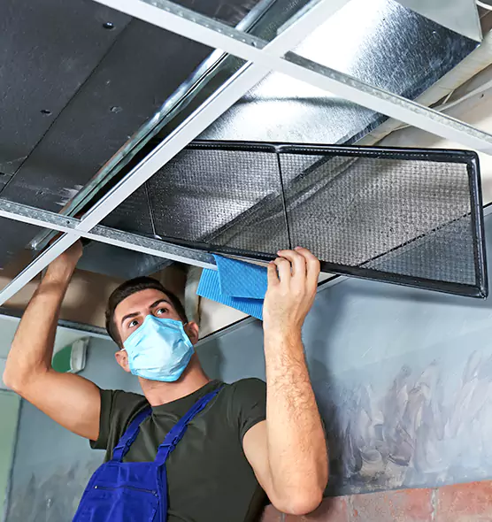 About Air Duct Bacteria Removal in Homestead