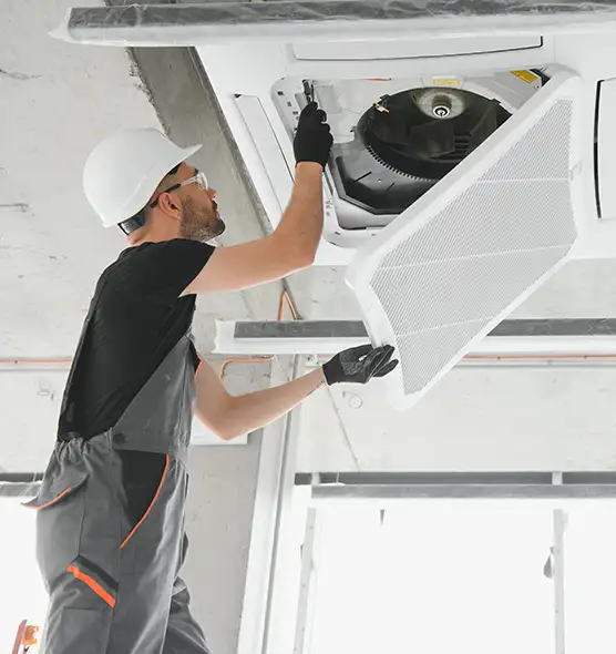 About Air Duct Rodent Removal in Homestead, FL