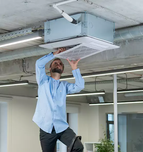 Advanced Rodent Droppings In Vents in Bayonet Point, FL