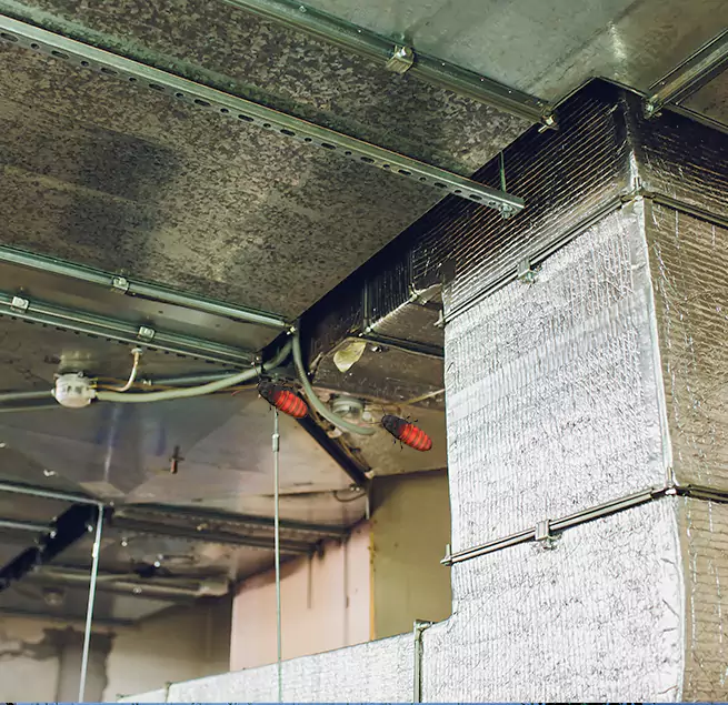 Why Homeowners & Businesses Trust Us in Homestead, FL?