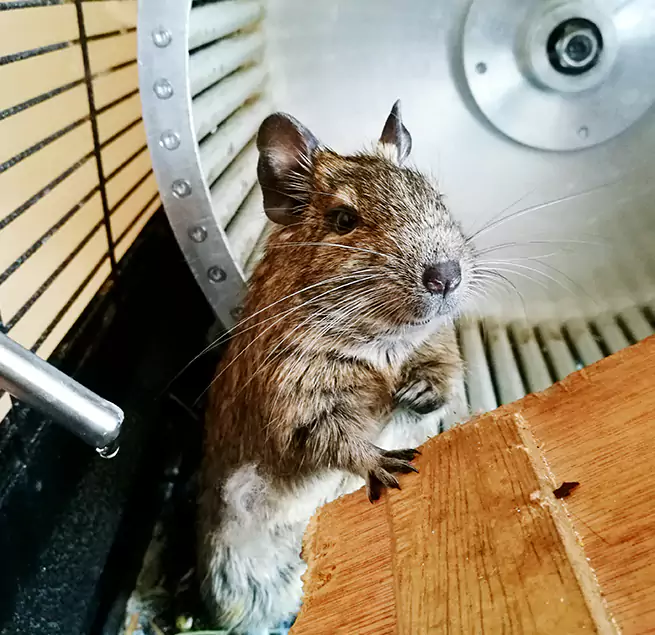 Why Homeowners & Businesses Trust Us Homestead, FL