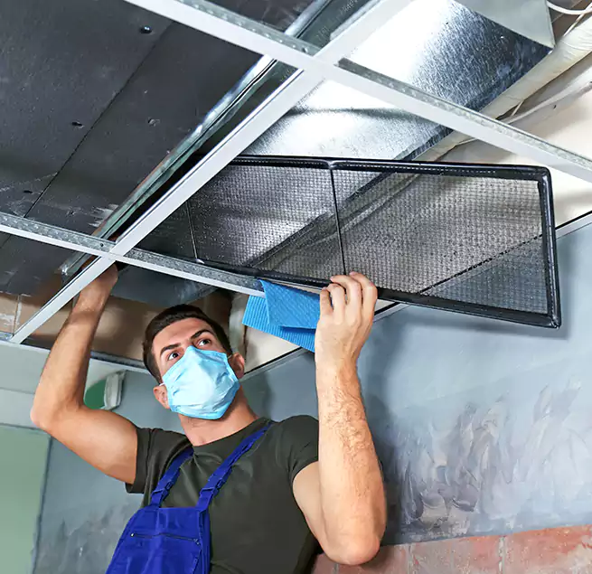 Why Homeowners Businesses Trust Us in Homestead, FL