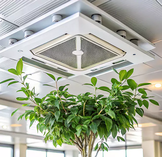 Why Homeowners & Businesses Trust Us in Homestead, FL?