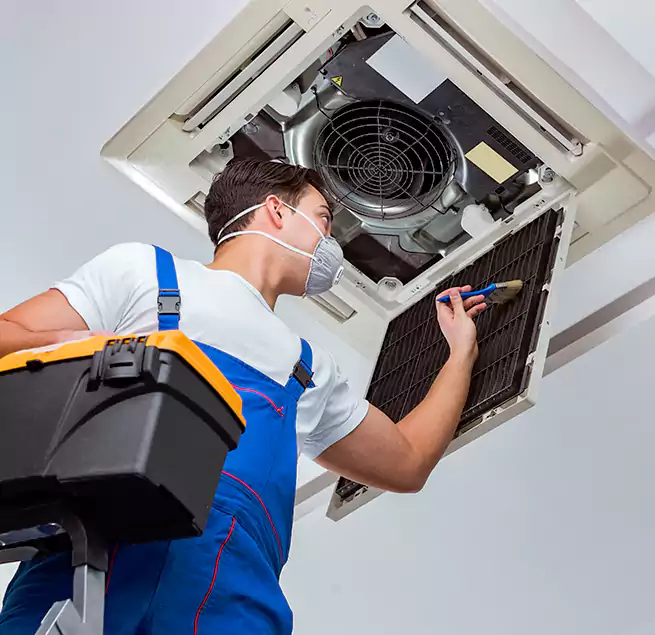 Why Homeowners & Businesses Trust Us in Homestead, FL?