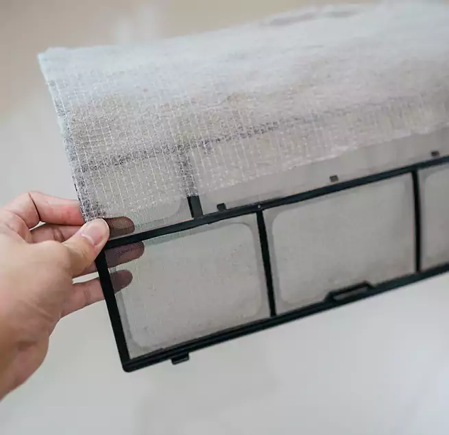 Why Homeowners & Businesses Trust Us in Homestead, FL?