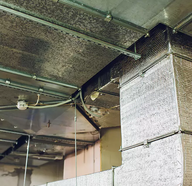 Why Homeowners & Businesses Trust Us in Homestead, FL?